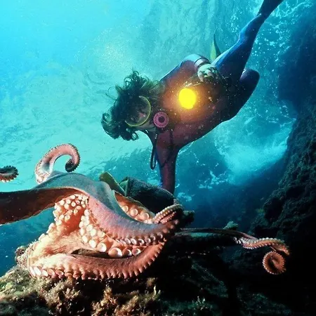 Provençal, Spacieux&réconfortant, Emplacement Sûr Au Cœur Du Parc Des Calanques, Salon Et Clim, Lit Confortable, Cuisine équipée Avec Lave-vaisselle Et Lave-linge, Garage, Jardin, Piscine Privés, Inclus Linge, Bureau, Wifi, Netflix, Sans St * Cassis