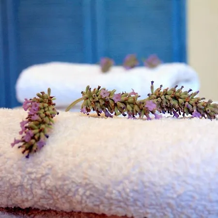 Appartement Spacieux, Climatise, Confortable, Garage Prive, Piscine , Cuisine Equipe Cassis